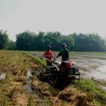 Petani Olah Sawah