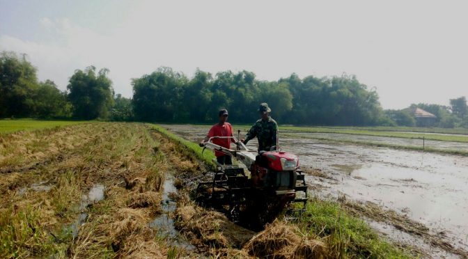 Petani Olah Sawah