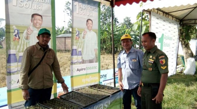 Herbisida Padi Apiro