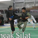 Kejuaraan Pencak Silat