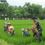 Meningkatkan hasil panen