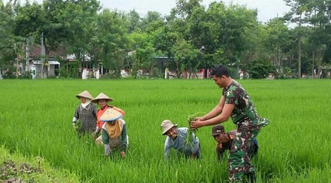 Meningkatkan hasil panen