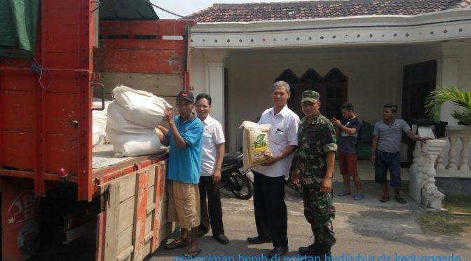 Distribusi Benih Padi Ciherang Bersubsidi Dikawal Ketat Babinsa
