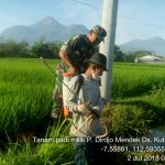 Antisipasi Hama, Babinsa Ngoro Dampingi Petani Penyemprotan Tanaman Padi
