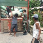 Koramil Ngoro Kawal Distribusi 4,25 Ton Benih Padi Inpago Situbagendit