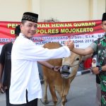 Kapolres Mojokerto Membagikan 300 Bingkisan Daging Kurban