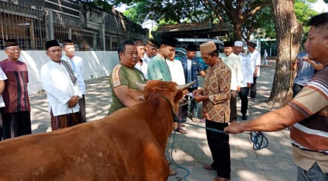 Kodim 0815 Berbagi Daging Kurban
