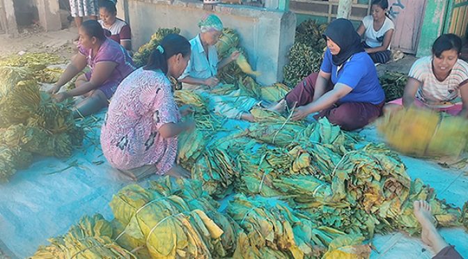 Petani Tembakau Mojokerto Tak Terimbas Pembatasan Impor