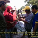 Jelang Panen Pos Ramil Mojoanyar Bersama BPP Lakukan Pengubinan