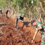 Prajurit Kodim 0812 Lamongan Karya Bakti Normalisasi Saluran Irigasi