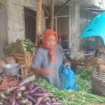 Musim Hujan, Harga Sayuran Anjlok