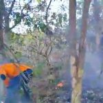 Hutan Seluas 1,5 Hektar di Mojokerto Terbakar