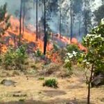 Kebakaran Lereng Gunung Welirang