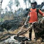 Kebakaran Taman Hutan Raya, Tim Penjinak Api Temukan Kerangka Jenis Rusa Dilindungi