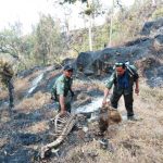 Tim Penjinak Api Temukan Penyebab Kebakaran Lereng Gunung Welirang