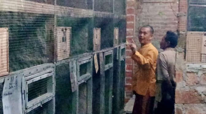 Guru SMAN 2 Kota Mojokerto Berpenghasilan Rp 24 Juta per Bulan