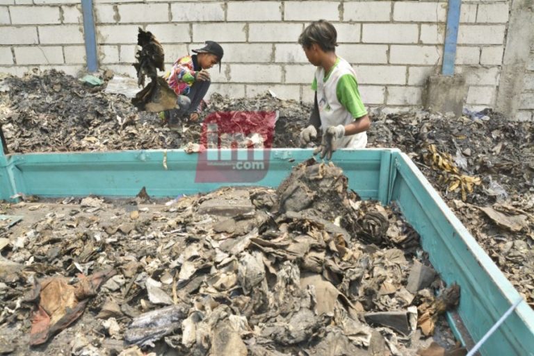 Limbah Pabrik Kertas Dibuang di Lahan Pertanian