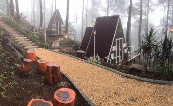 Simak Fasilitasnya Lodge Trawas, Penginapan Glamping di Mojokerto yang Instagenic