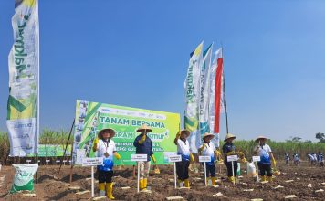 Program Makmur Dongkrak Produksi Tebu di Mojokerto