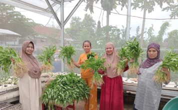 Pemkot Mojokerto Kembangkan Urban Farming Melalui Gerakan Kelompok Wanita Tani