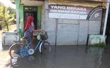 Simak! Ini Catatan BPBD Bencana Alam Tahunan di Jombang Warga Diminta Waspada