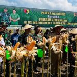 Pangdam V Brawijaya panen raya jagung di Modo Lamongan, Selasa (28/5/2024).