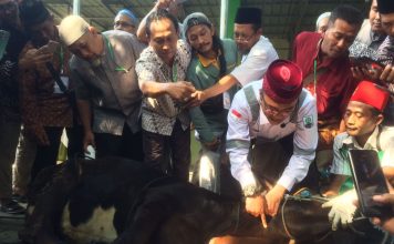 Sosialisasi juru sembelih halal yang digelar Baznas Kota Mojokerto, Selasa (4/6/2024). IM.com/Erik/