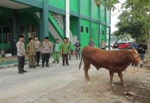 Kapolres Mojokerto, AKBP DmIhram Kustarto saat menyerahkan hewan kurban ke PCNU Kabupaten Mojokerto, Sabtu (15/6/2024).