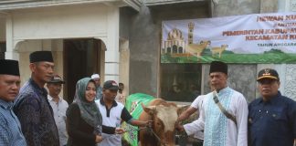 Bupati Ikfina Fahmawati menyerahkan hewan kurban.