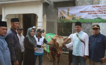 Bupati Ikfina Fahmawati menyerahkan hewan kurban.