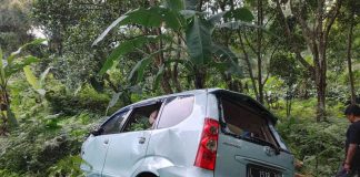 Kondisi mobil Avanza yang ditumpangi rombongan satu keluarga asal Surabaya terjun ke jalur turunan Sendi Pacet Mojokerto, Rabu (10/7/2024). IM.com/Erik/