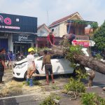 Kijang Innova tertimpa pohon tumbang di jalan raya Surodinawan Kota Mojokerto, Kamis (11/7/2024). IM.com/Erik/