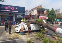 Kijang Innova tertimpa pohon tumbang di jalan raya Surodinawan Kota Mojokerto, Kamis (11/7/2024). IM.com/Erik/