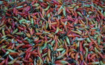 Cabai rawit yang dijual di pasar Tanjung Anyar Kota Mojokerto. IM.com/Erik/