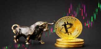 Ilustrasi Bull Run Bitcoin, Bittime