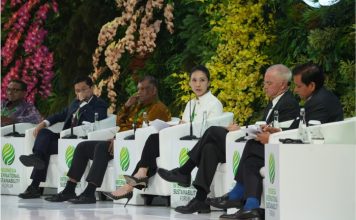 Sinar Mas Menuju Dekarbonisasi