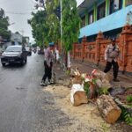 Pohon tumbang di Kota Mojokerto.