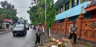 Pohon tumbang di Kota Mojokerto.