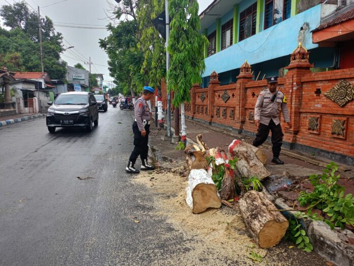 Pohon tumbang di Kota Mojokerto.