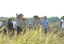 Kapolres Mojokerto AKBP Ihram Kustarto saat meninjau lahan di Desa Menanggal, Kecamatan Mojosari, Senin (4/11/2024).