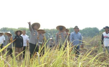 Kapolres Mojokerto AKBP Ihram Kustarto saat meninjau lahan di Desa Menanggal, Kecamatan Mojosari, Senin (4/11/2024).