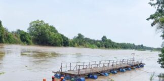 Upaya pencarian warga Ngoro Kabupaten Mojokerto yang terseret arus dan tenggelam, Kamis (21/11/2024).