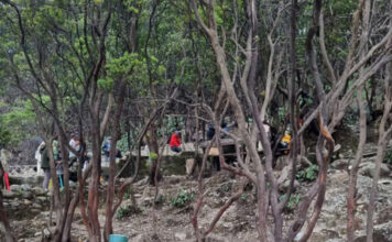 Revelina Sihombing: Mengukir Mimpi Melalui Digital Marketing