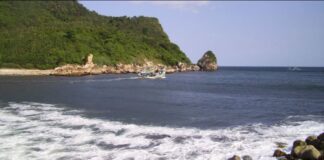 Pantai Puger Jember