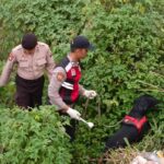 Polisi saat menyisir lokasi di jurang Pacet, Mojokerto, Jawa Timur.