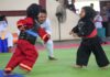 Kejuaraan Pencak Silat Sumpah Amukti Palapa Championship 2025 Kota Mojokerto Diikuti 650 Peserta