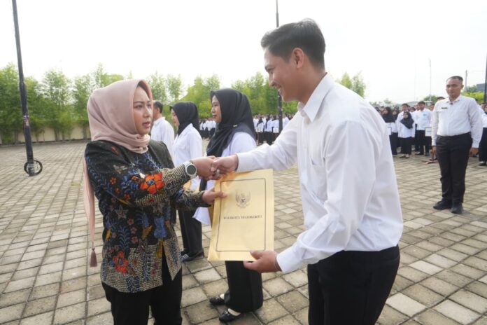 WhatsApp Image 2025-12-11 at 10.40.24