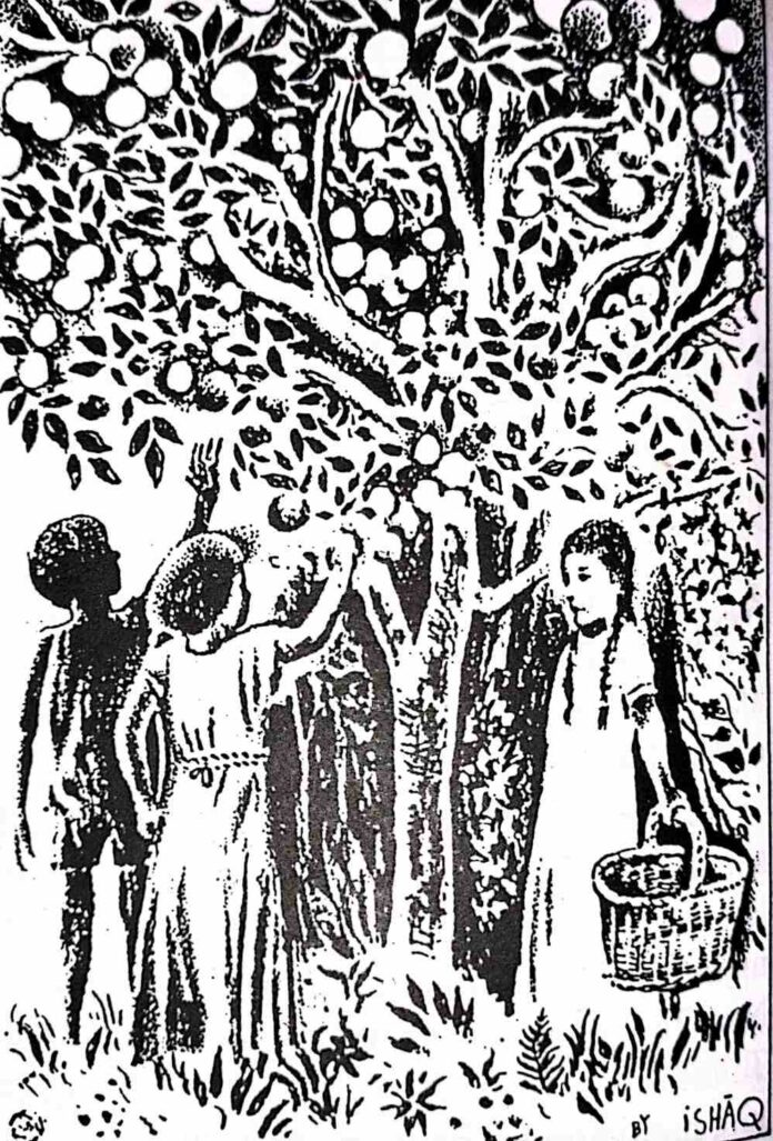 "Allah menciptakan aku dan melindungi kepalaku dengan buah-buahan yang memberi kedamaian kepada makhluk-makhluk lainnya."