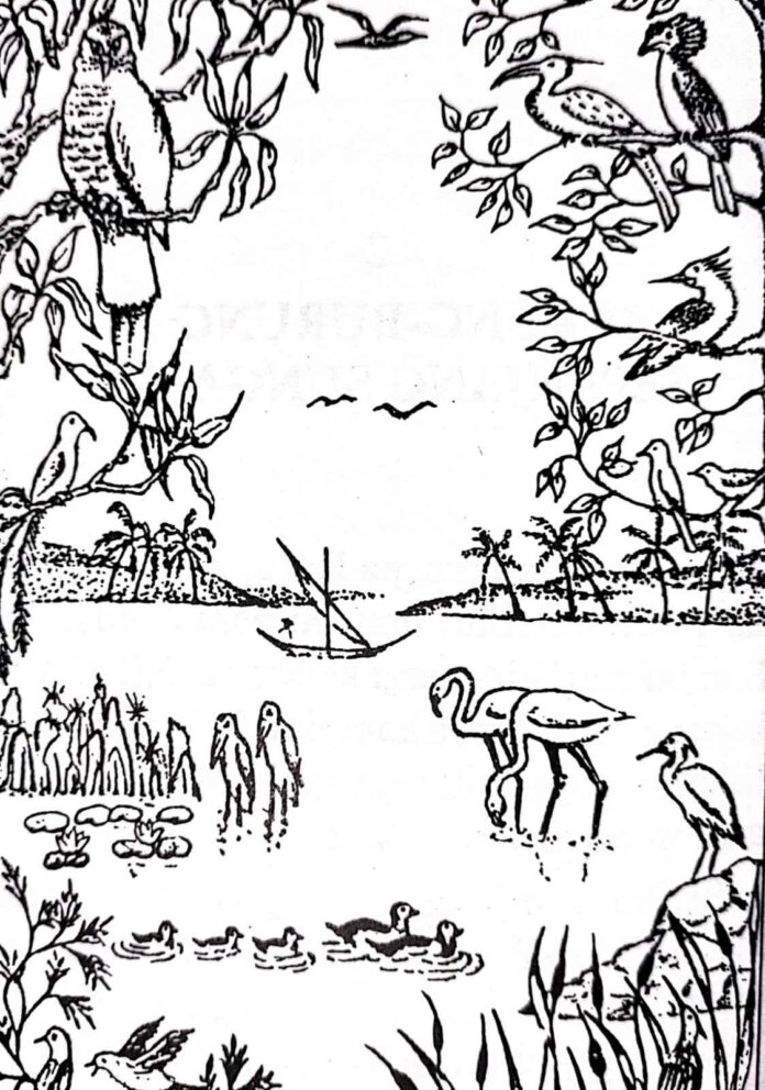 Burung-burung di sepanjang Sungai Nil begitu indah. Bukankah burung-burung tersebut merupakan makhluk yang menyenangkan untuk mata kita?