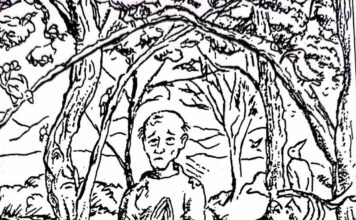 Kotoran Burung di Jalanan